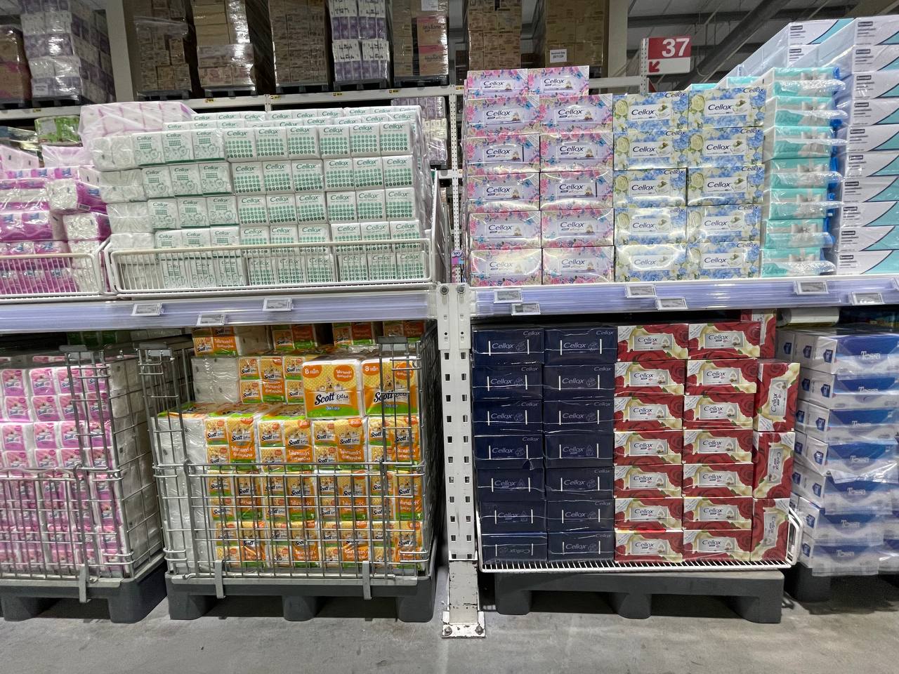 Modern Trade Distribution of Cellox and Hygienist Products by BJC at Makro Cambodia - Image 8